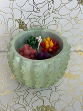 Load image into Gallery viewer, Succulent soy candle
